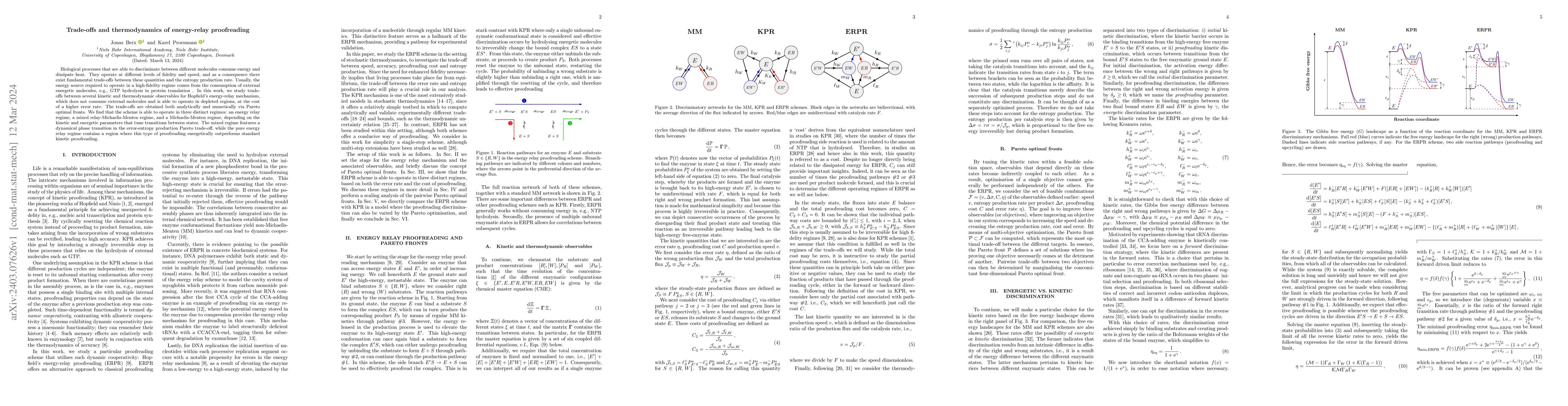 Thumbnail for Trade-offs and thermodynamics of energy-relay proofreading
