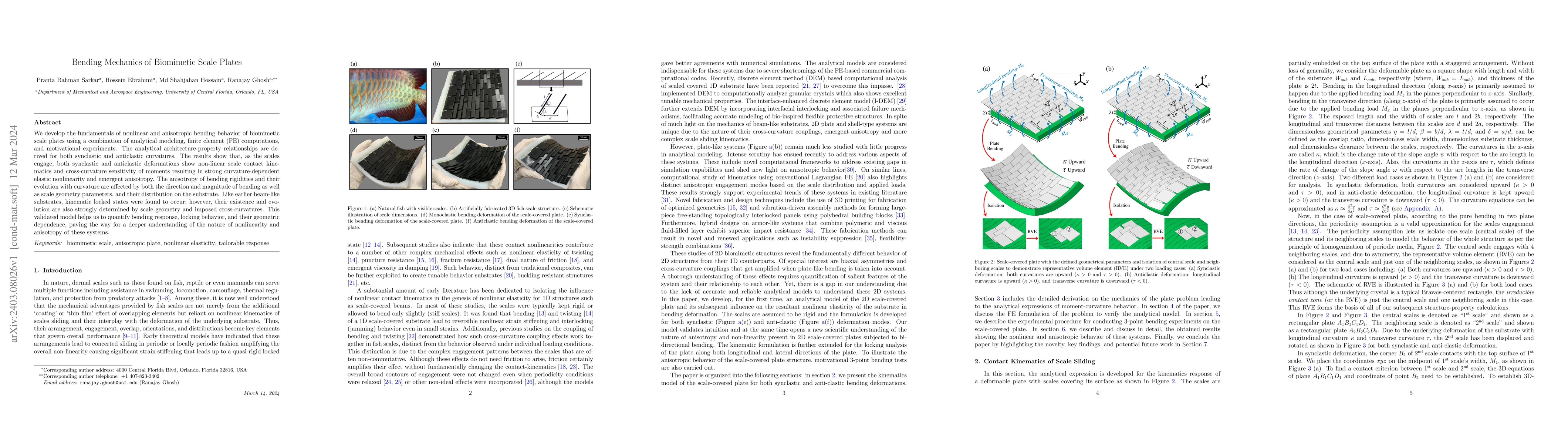 Thumbnail for Bending Mechanics of Biomimetic Scale Plates