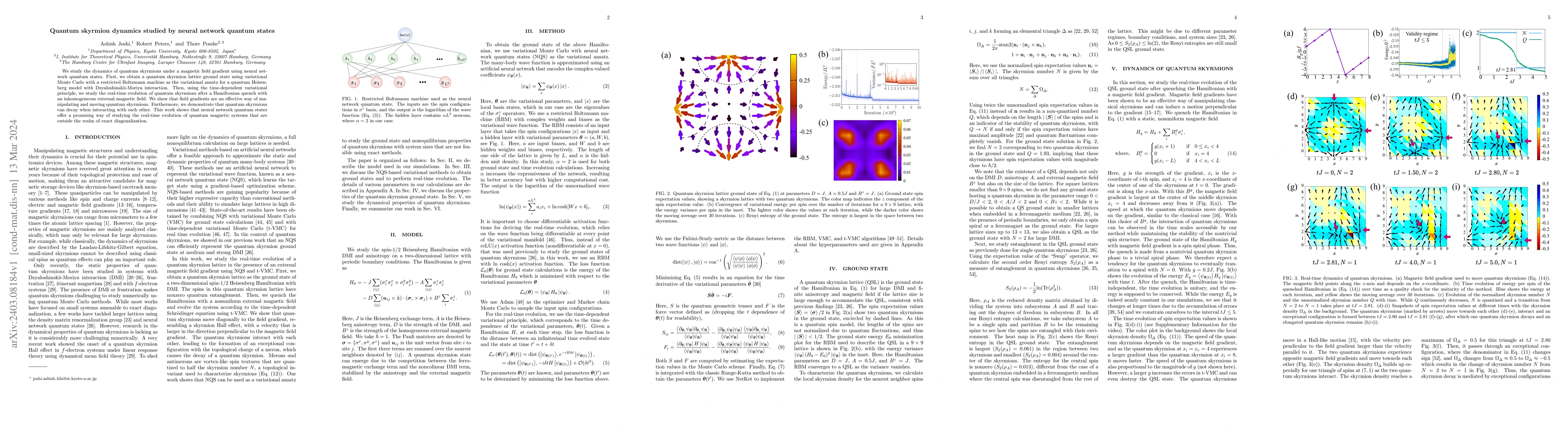 Thumbnail for Quantum skyrmion dynamics studied by neural network quantum states