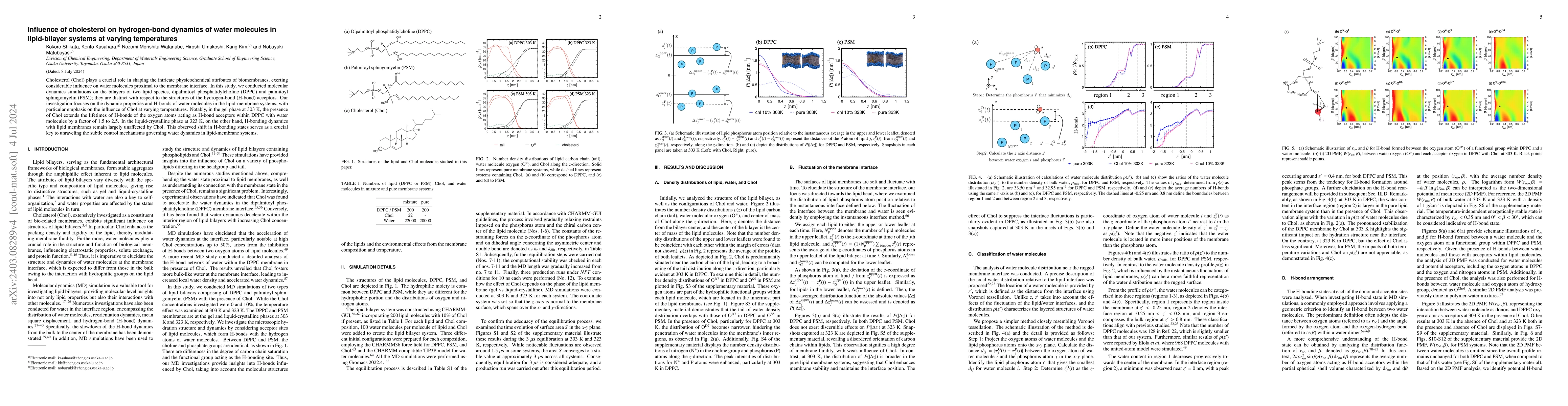 Thumbnail for Influence of cholesterol on hydrogen-bond dynamics of water molecules in
  lipid-bilayer systems at varying temperatures