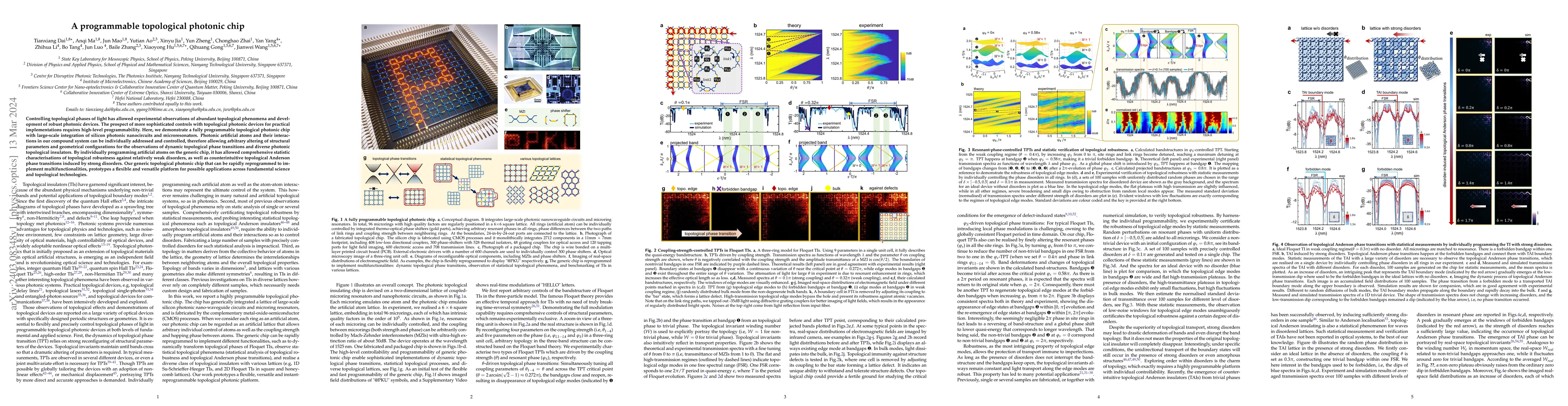 Thumbnail for A programmable topological photonic chip