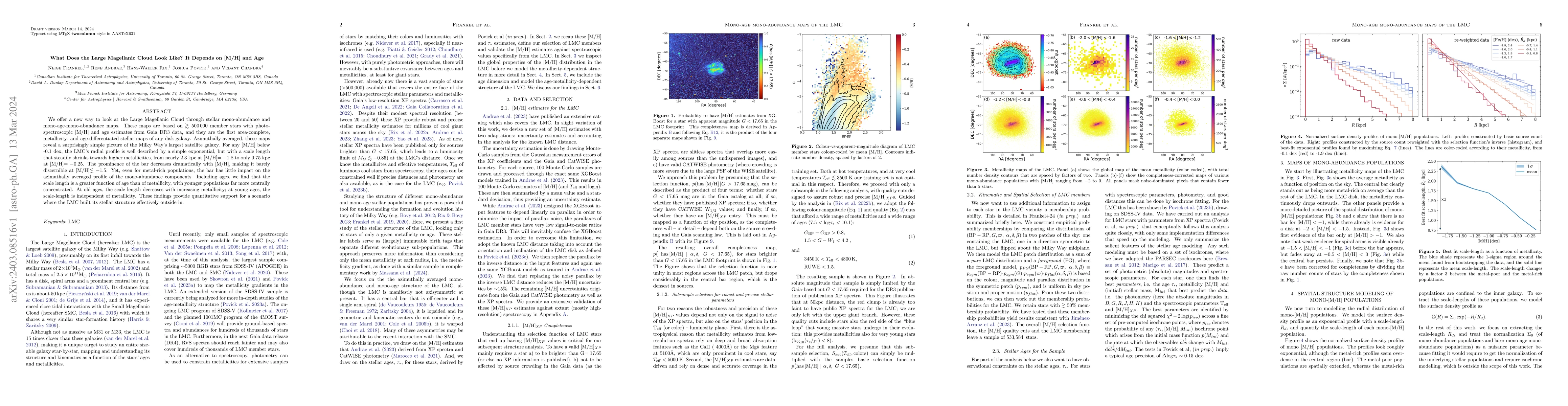 Thumbnail for What Does the Large Magellanic Cloud Look Like? It Depends on [M/H] and
  Age