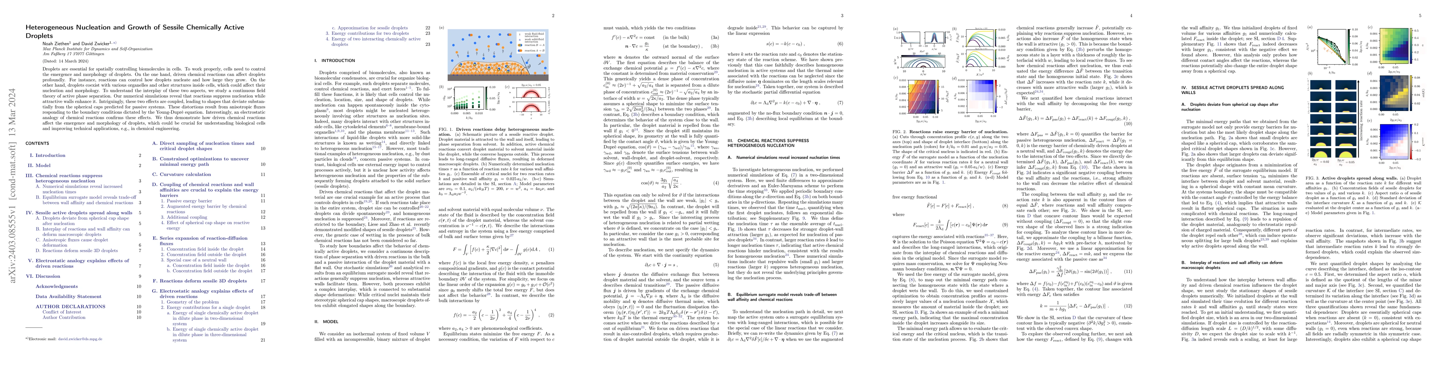 Thumbnail for Heterogeneous Nucleation and Growth of Sessile Chemically Active
  Droplets