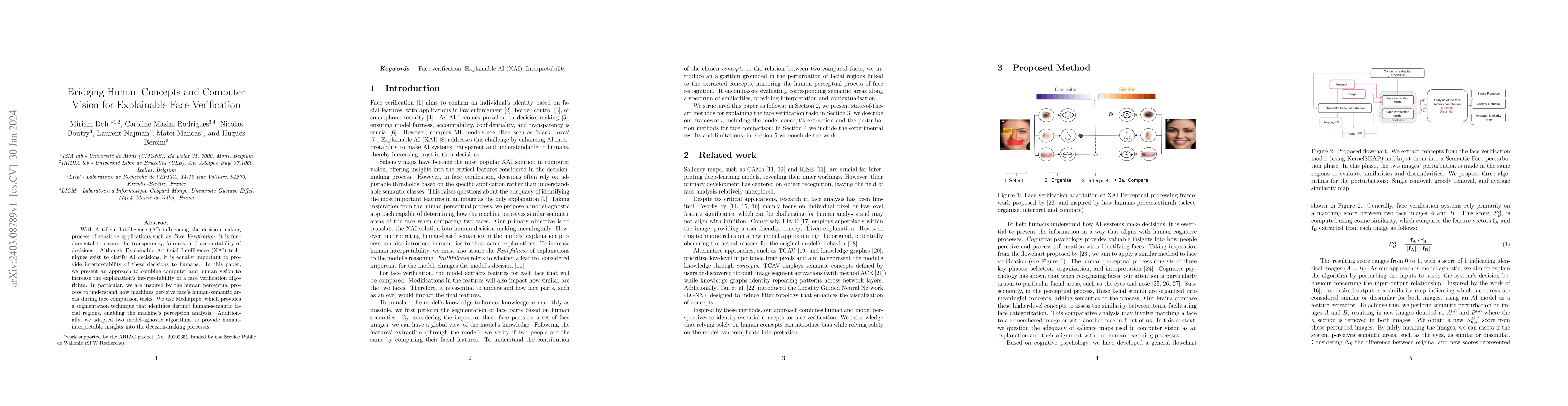 Thumbnail for Bridging Human Concepts and Computer Vision for Explainable Face
  Verification