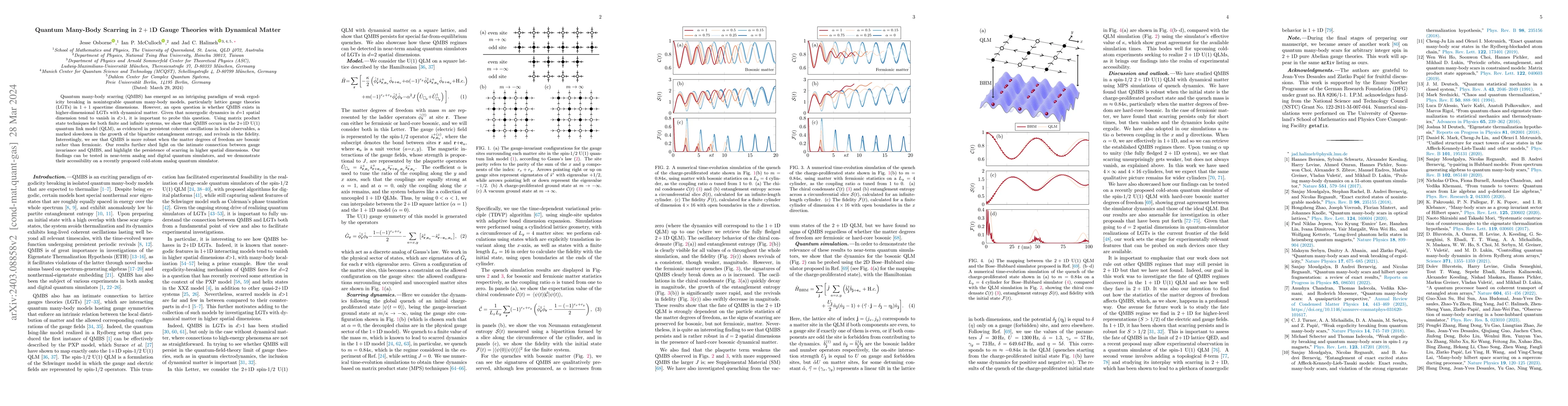 Thumbnail for Quantum Many-Body Scarring in $2+1$D Gauge Theories with Dynamical
  Matter