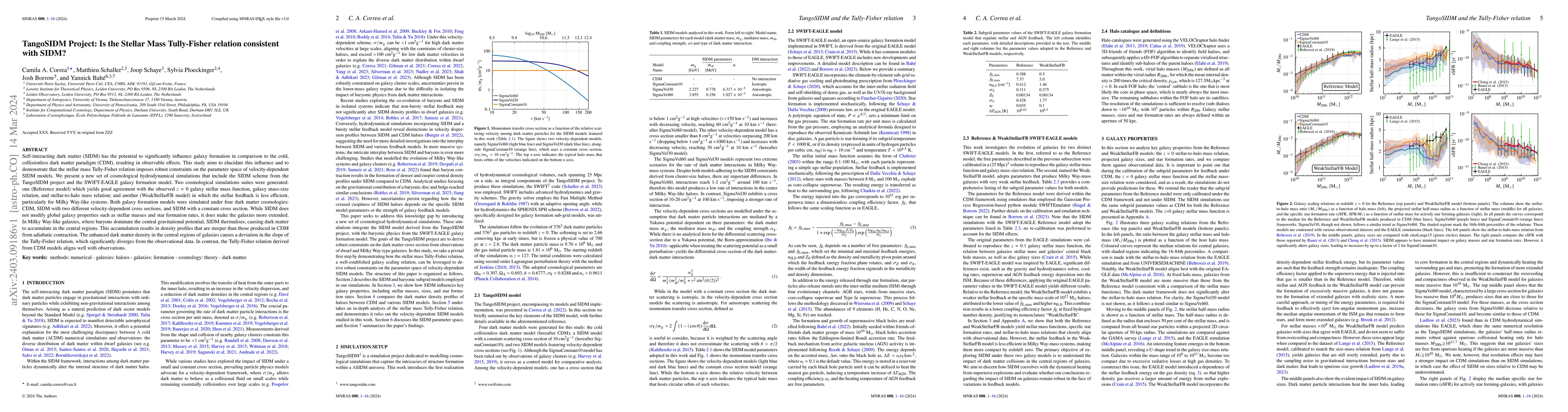 Thumbnail for TangoSIDM Project: Is the Stellar Mass Tully-Fisher relation consistent
  with SIDM?