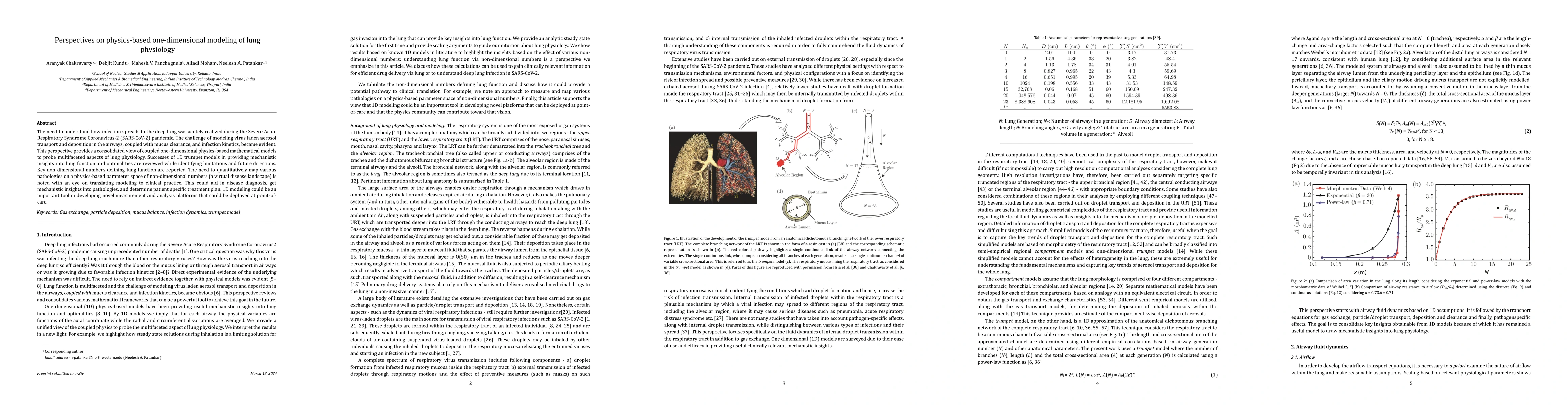 Thumbnail for Perspectives on physics-based one-dimensional modeling of lung
  physiology