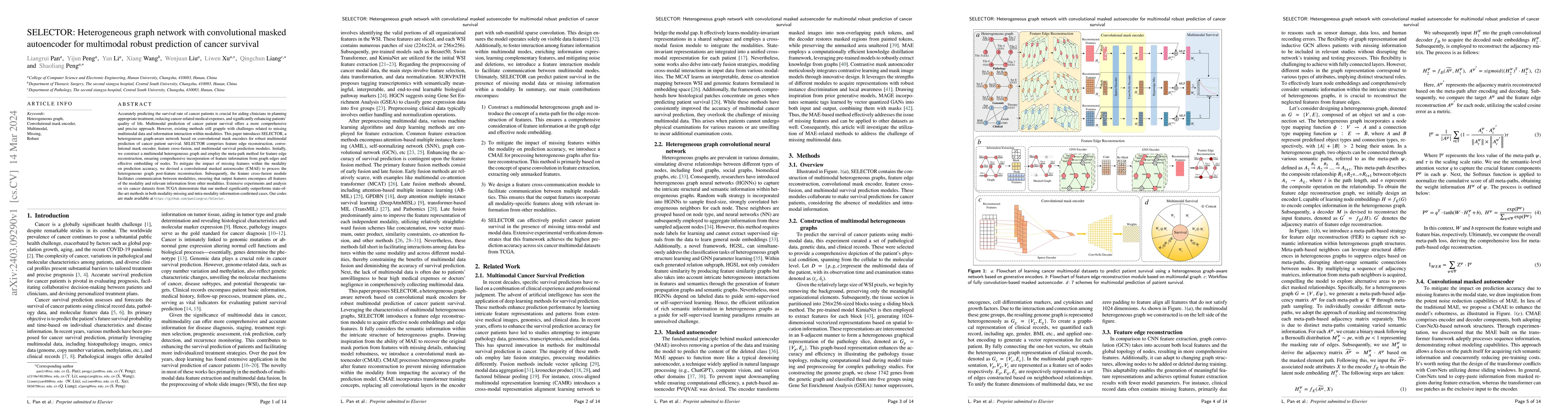 Thumbnail for SELECTOR: Heterogeneous graph network with convolutional masked
  autoencoder for multimodal robust prediction of cancer survival