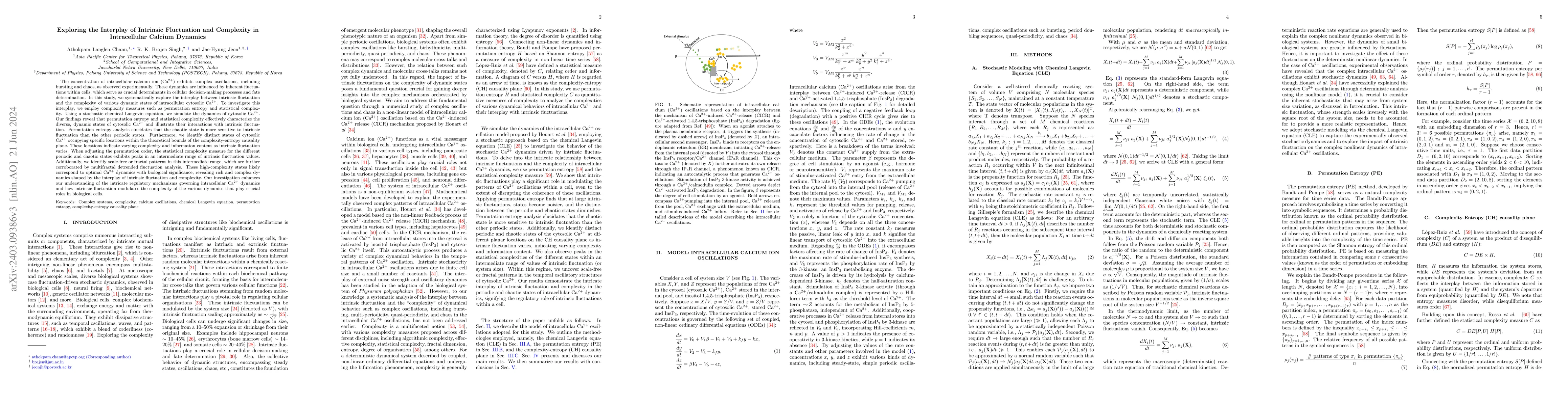 Thumbnail for Exploring the Interplay of Intrinsic Fluctuation and Complexity in
  Intracellular Calcium Dynamics