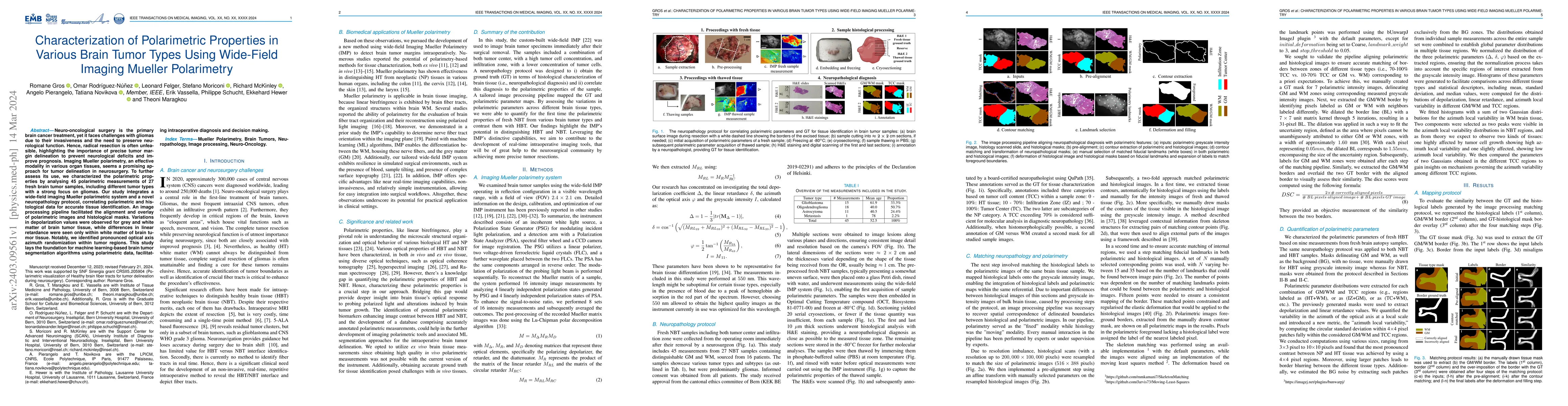 Thumbnail for Characterization of Polarimetric Properties in Various Brain Tumor Types
  Using Wide-Field Imaging Mueller Polarimetry