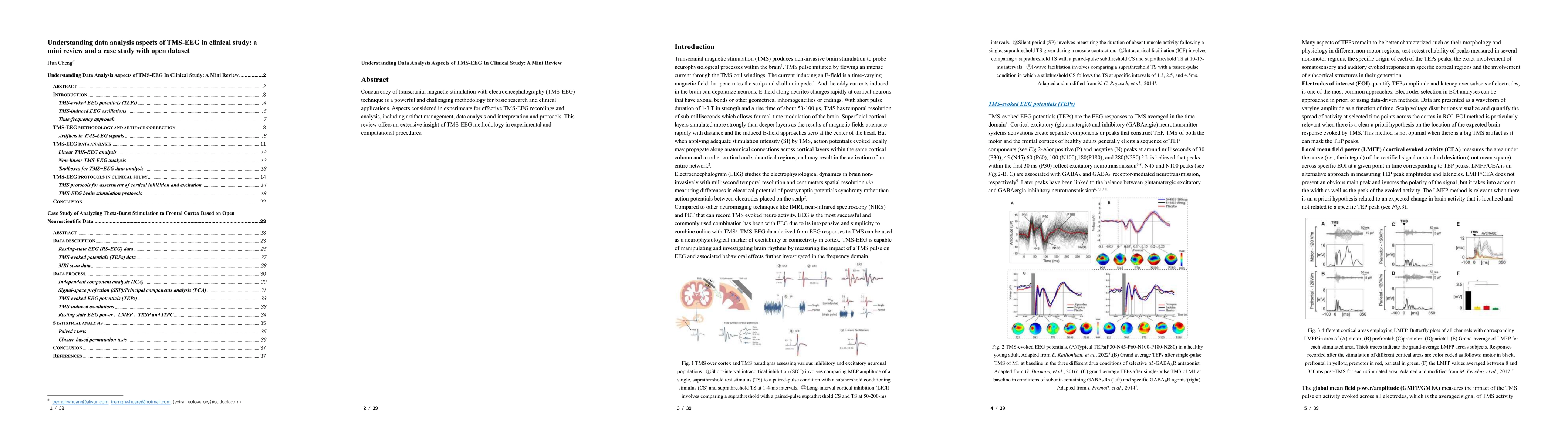 Thumbnail for Understanding data analysis aspects of TMS-EEG in clinical study: a mini
  review and a case study with open dataset