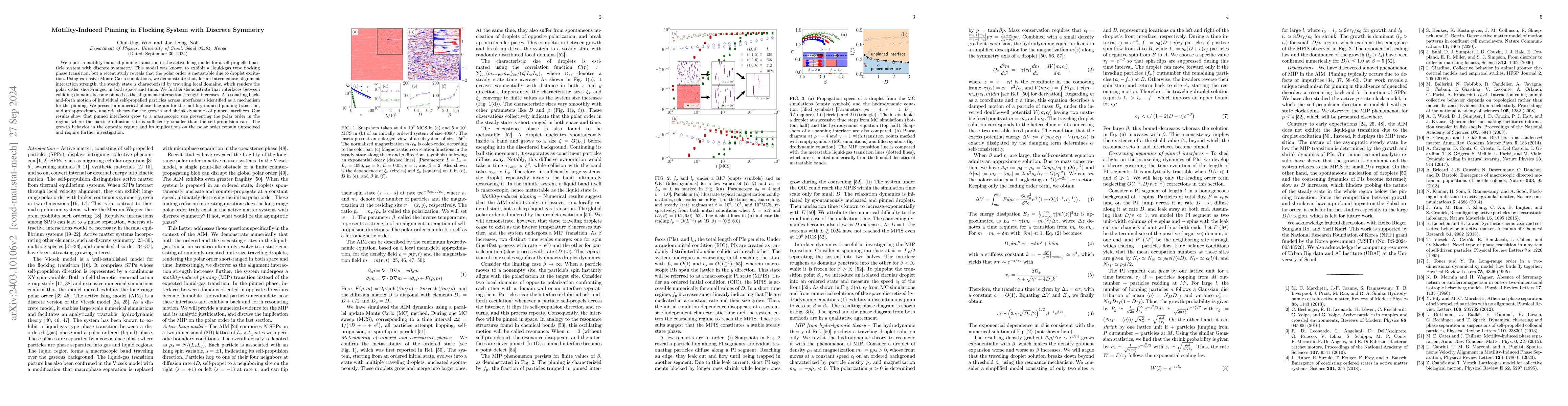 Thumbnail for Motility-Induced Pinning in Flocking System with Discrete Symmetry