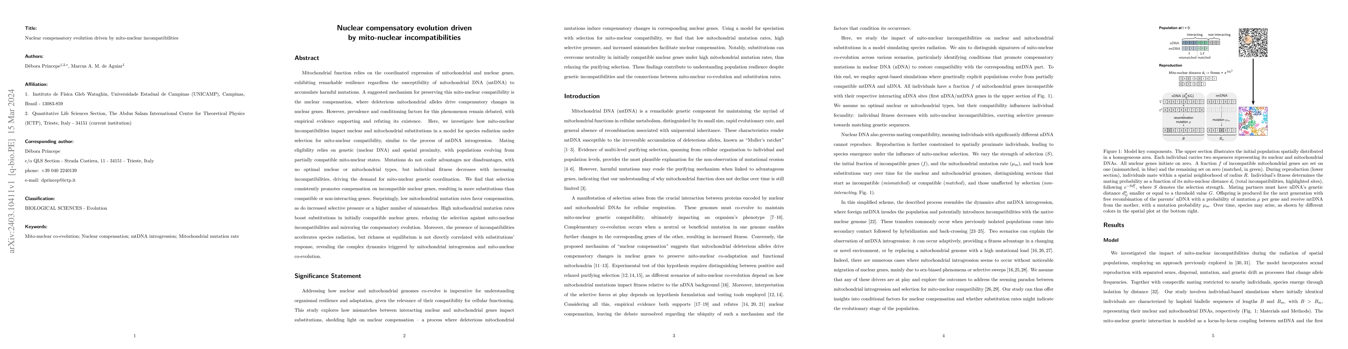 Thumbnail for Nuclear compensatory evolution driven by mito-nuclear incompatibilities