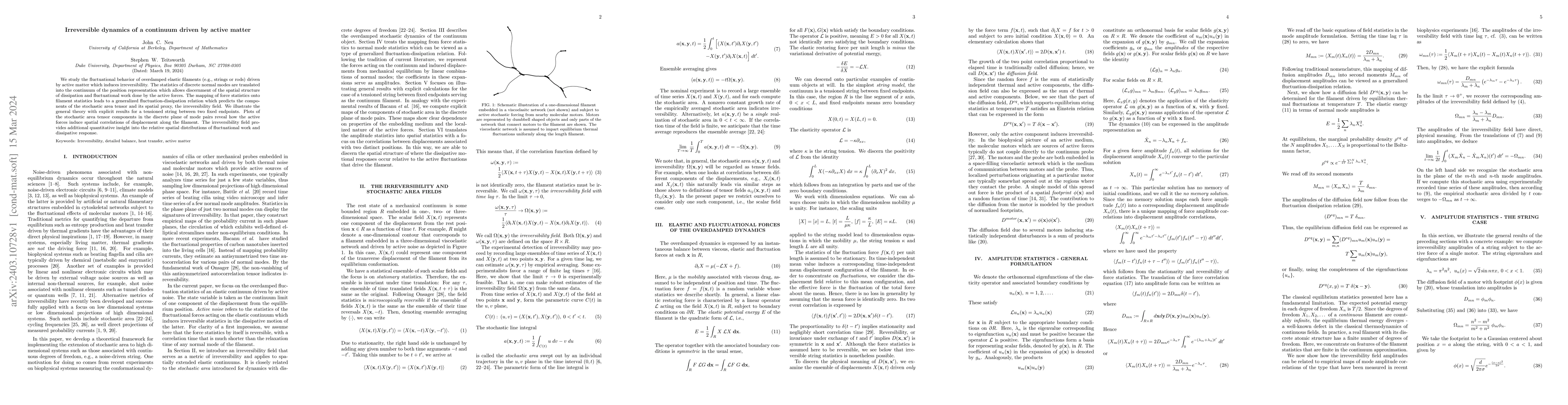 Thumbnail for Irreversible dynamics of a continuum driven by active matter