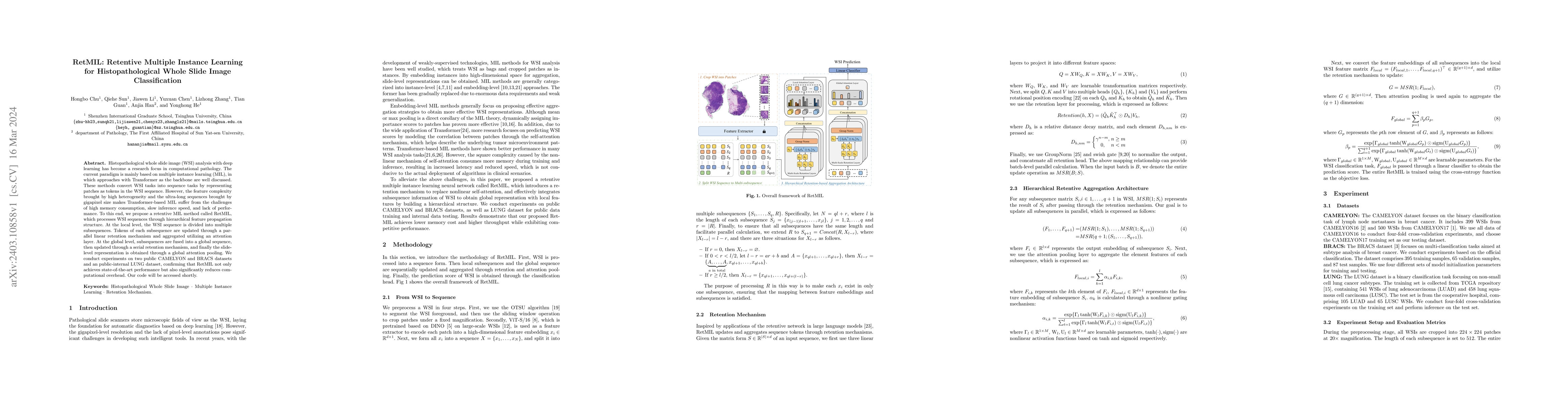 Thumbnail for RetMIL: Retentive Multiple Instance Learning for Histopathological Whole
  Slide Image Classification