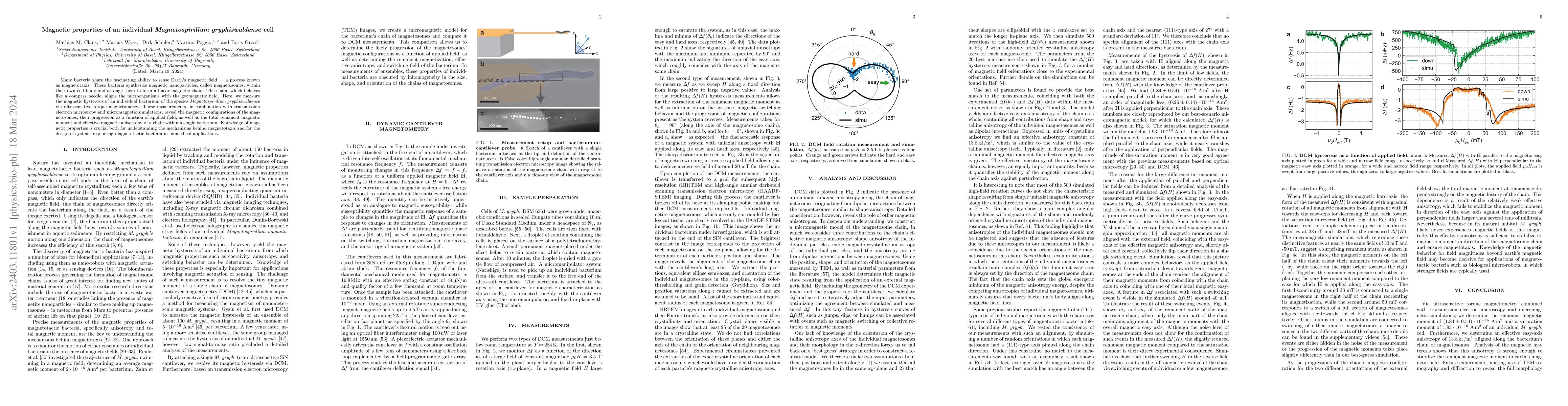 Thumbnail for Magnetic properties of an individual Magnetospirillum gryphiswaldense
  cell