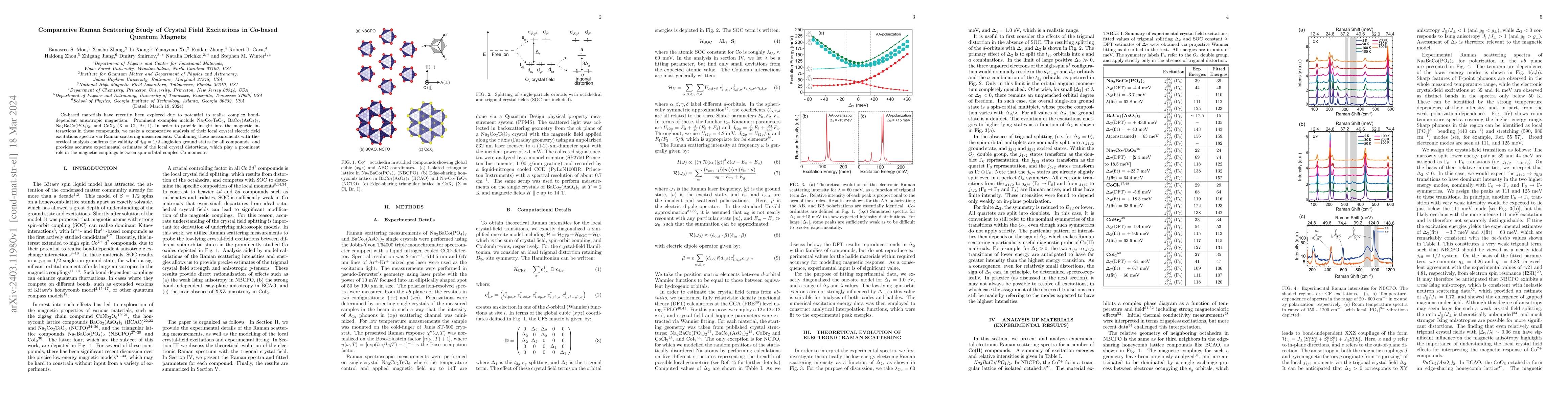 Thumbnail for Comparative Raman Scattering Study of Crystal Field Excitations in
  Co-based Quantum Magnets