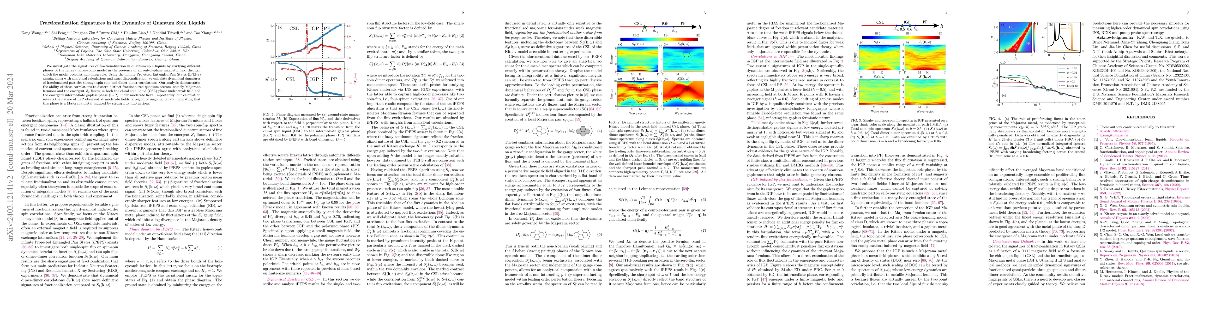 Thumbnail for Fractionalization Signatures in the Dynamics of Quantum Spin Liquids