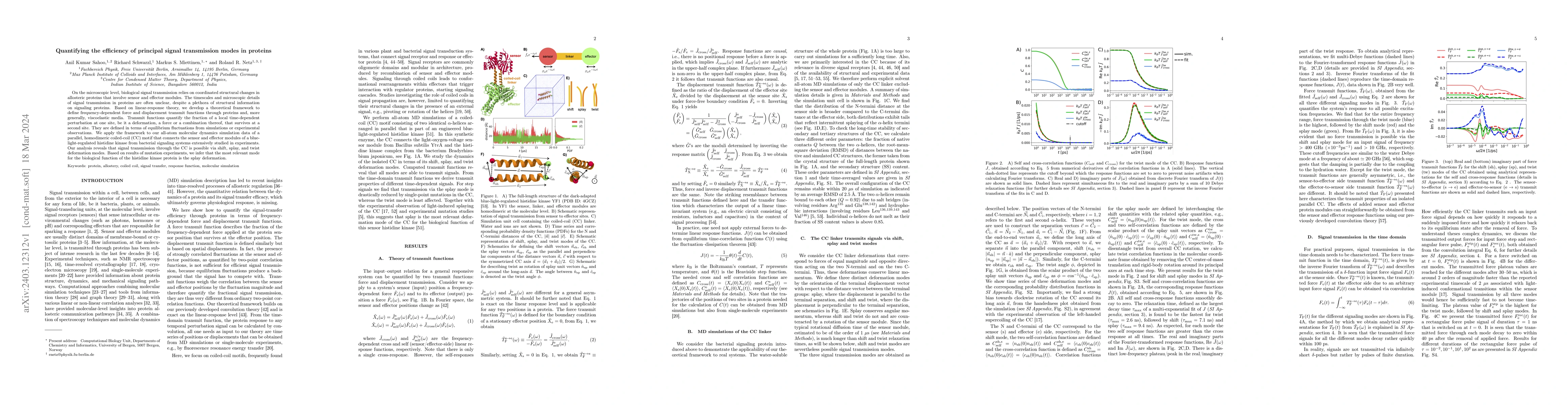 Thumbnail for Quantifying the efficiency of principal signal transmission modes in
  proteins