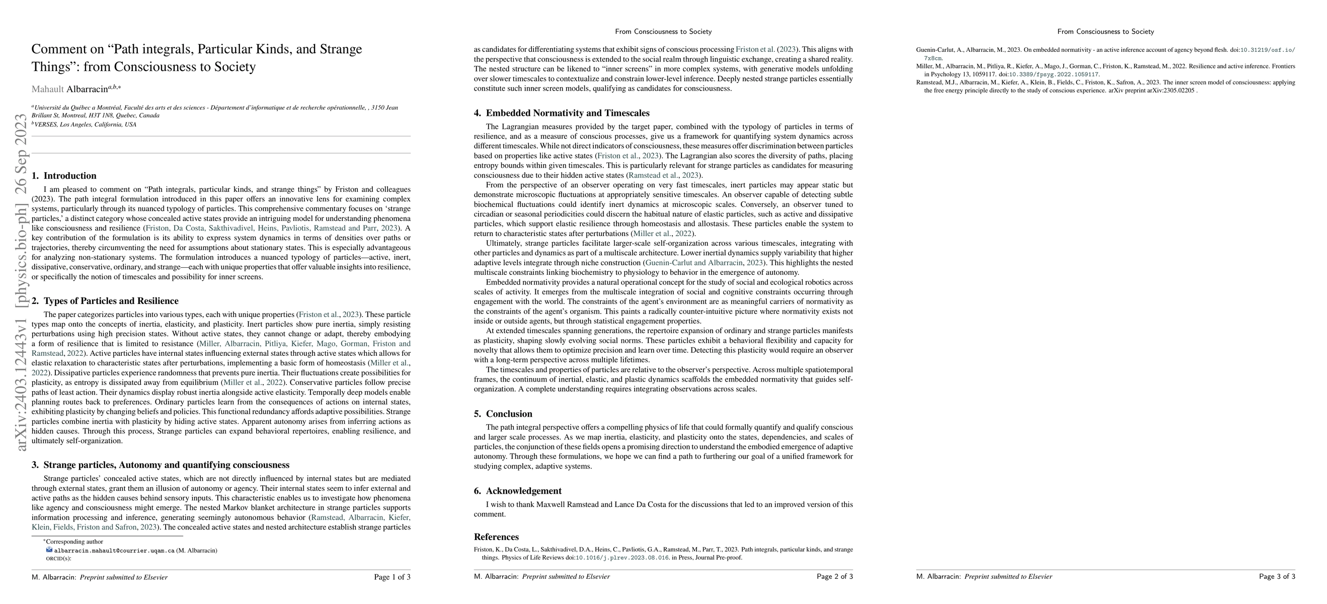 Thumbnail for Comment on "Path integrals, Particular Kinds, and Strange Things": from
  Consciousness to Society