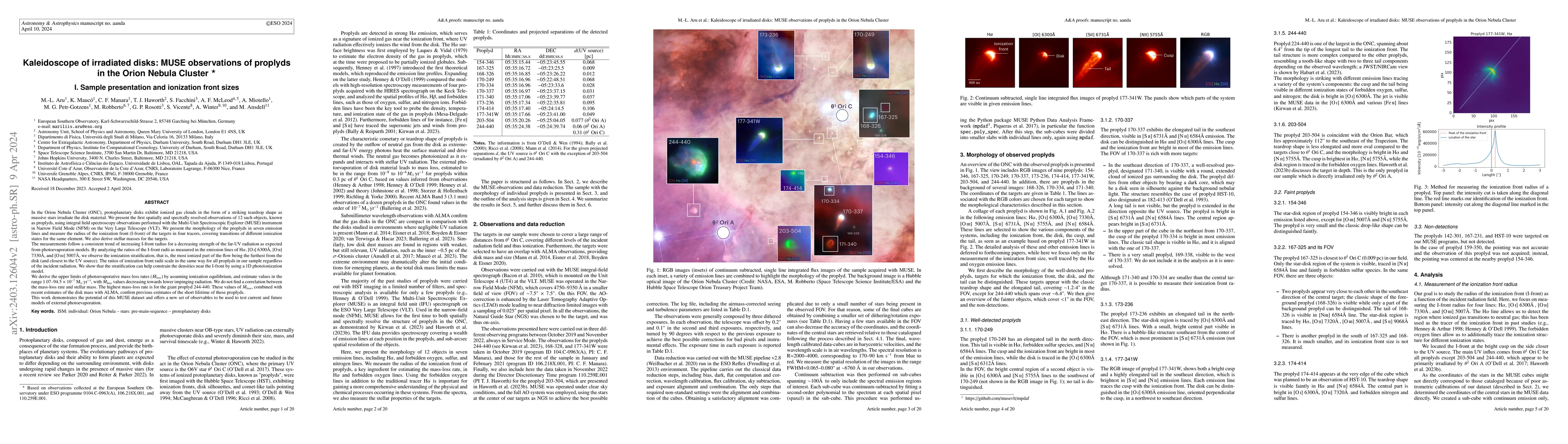 Thumbnail for Kaleidoscope of irradiated disks: MUSE observations of proplyds in the
  Orion Nebula Cluster. I. Sample presentation and ionization front sizes