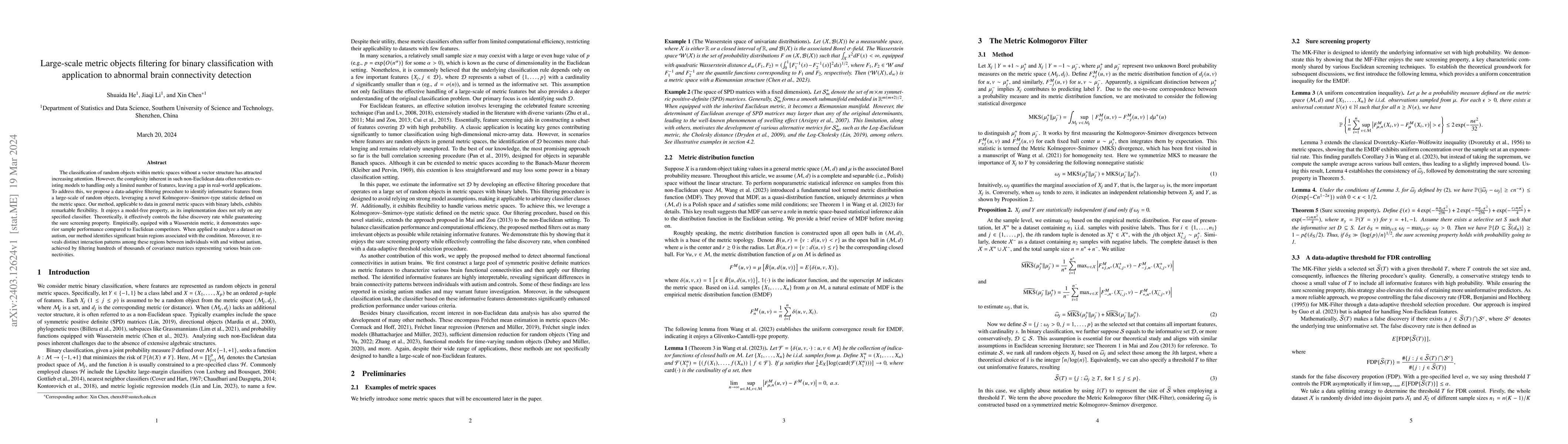 Thumbnail for Large-scale metric objects filtering for binary classification with
  application to abnormal brain connectivity detection