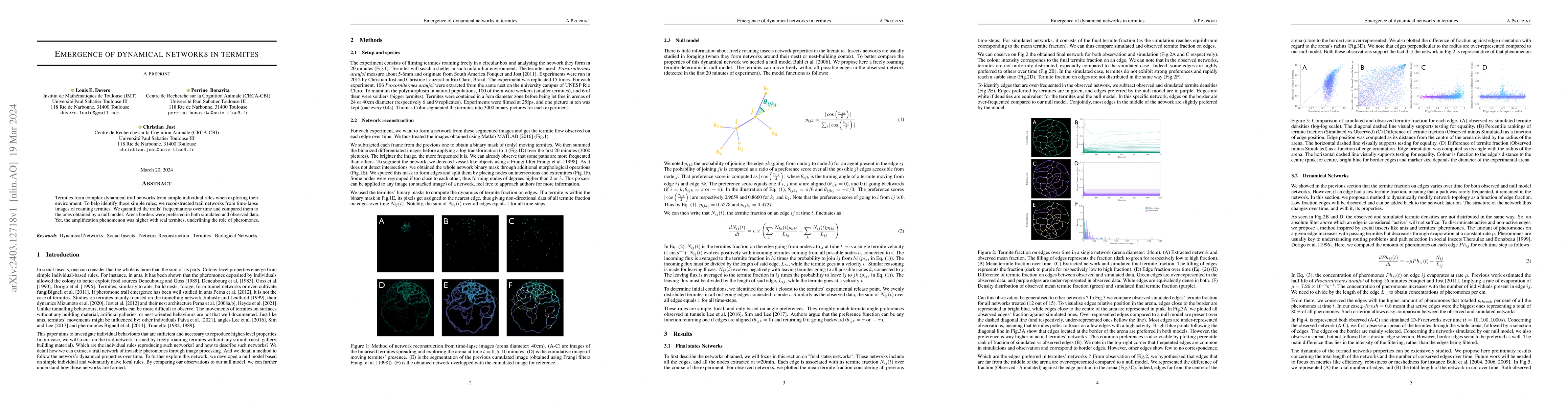 Thumbnail for Emergence of dynamical networks in termites