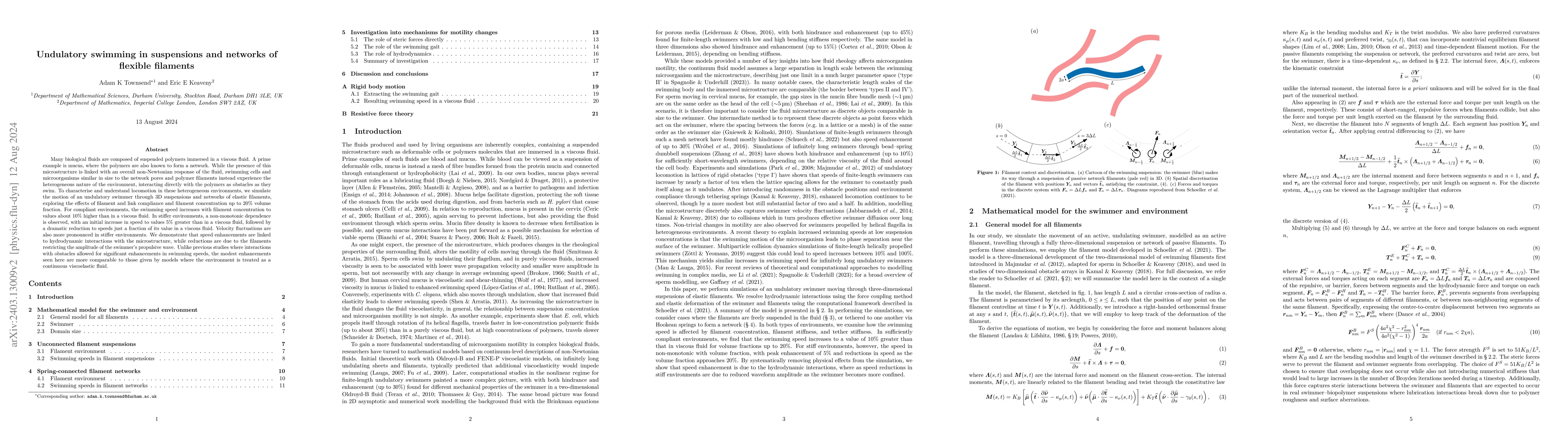 Thumbnail for Undulatory swimming in suspensions and networks of flexible filaments
