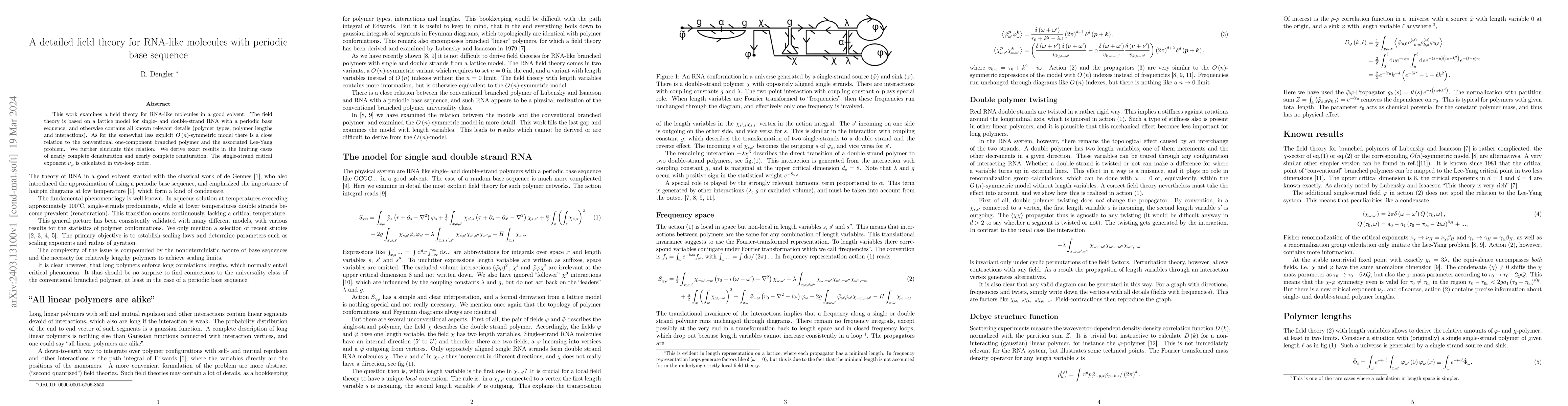 Thumbnail for A detailed field theory for RNA-like molecules with periodic base
  sequence