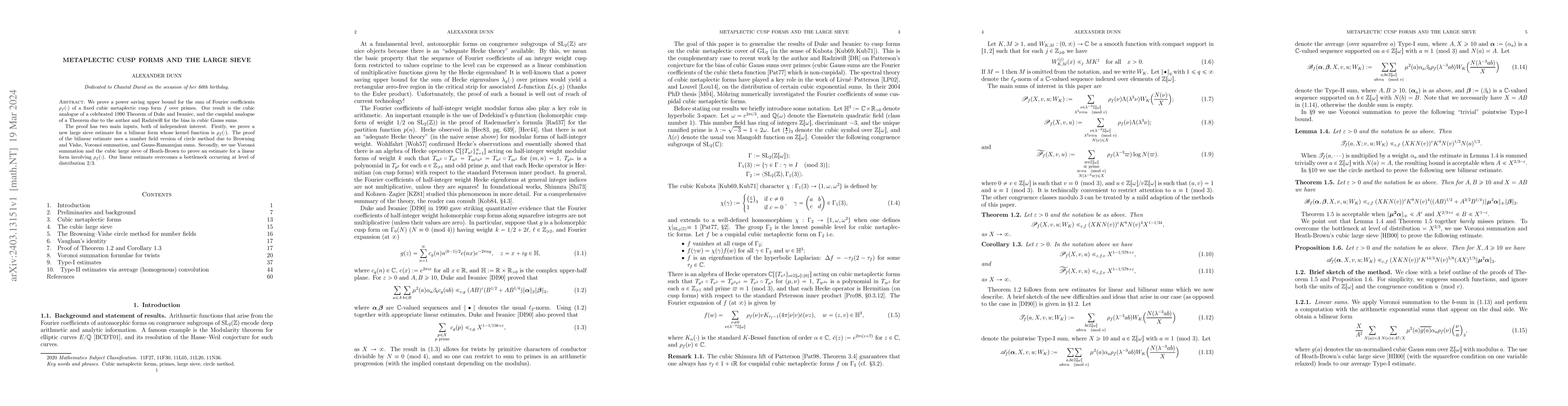 Thumbnail for Metaplectic cusp forms and the large sieve