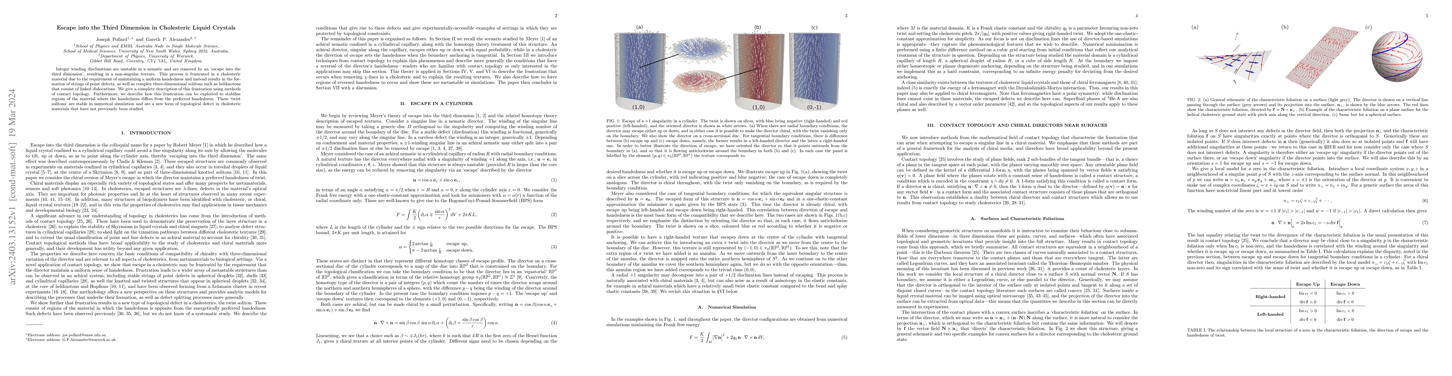 Thumbnail for Escape into the Third Dimension in Cholesteric Liquid Crystals