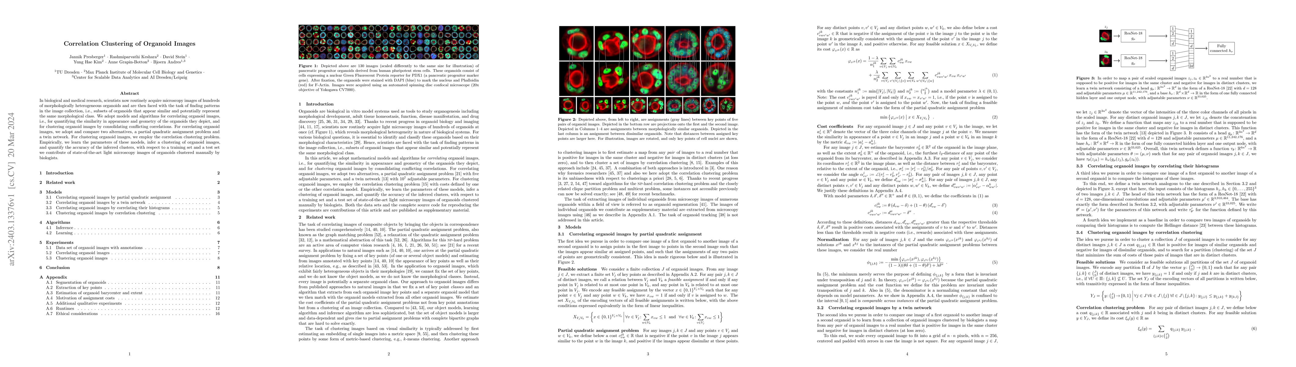 Thumbnail for Correlation Clustering of Organoid Images