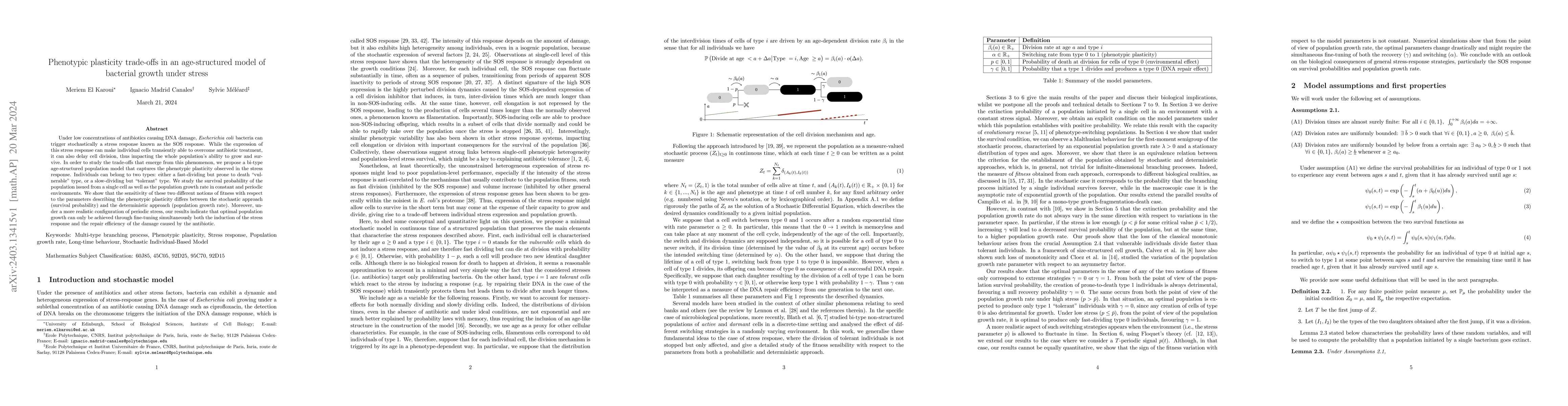 Thumbnail for Phenotypic plasticity trade-offs in an age-structured model of bacterial
  growth under stress