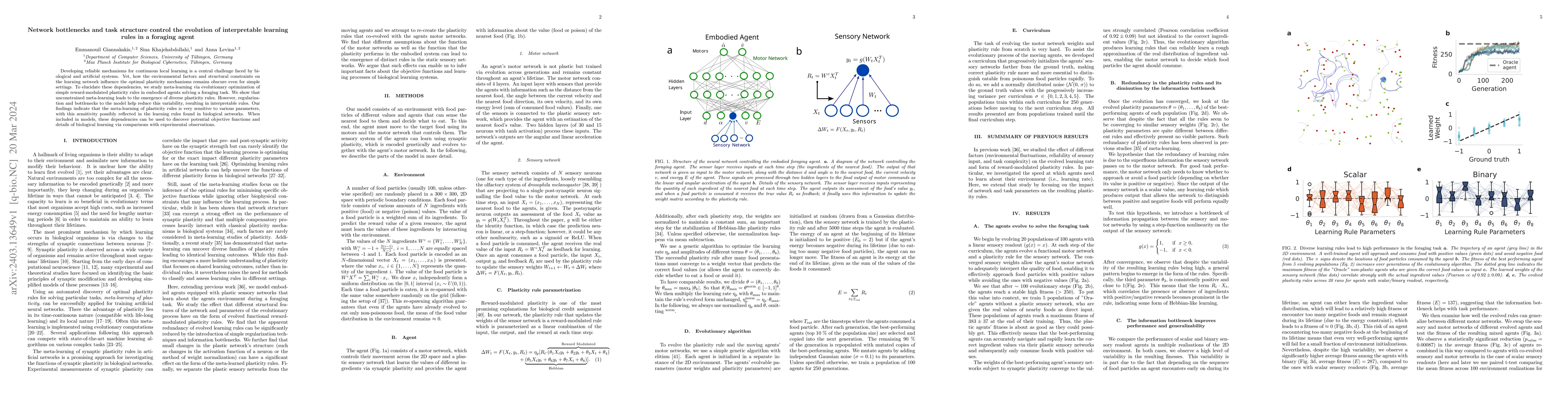 Thumbnail for Network bottlenecks and task structure control the evolution of
  interpretable learning rules in a foraging agent