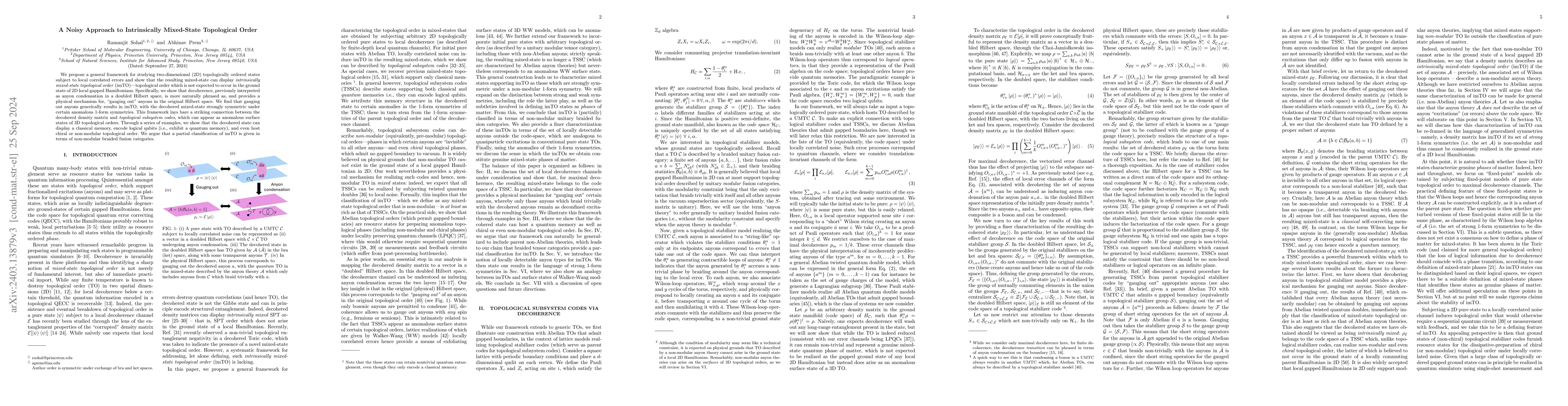Thumbnail for A Noisy Approach to Intrinsically Mixed-State Topological Order