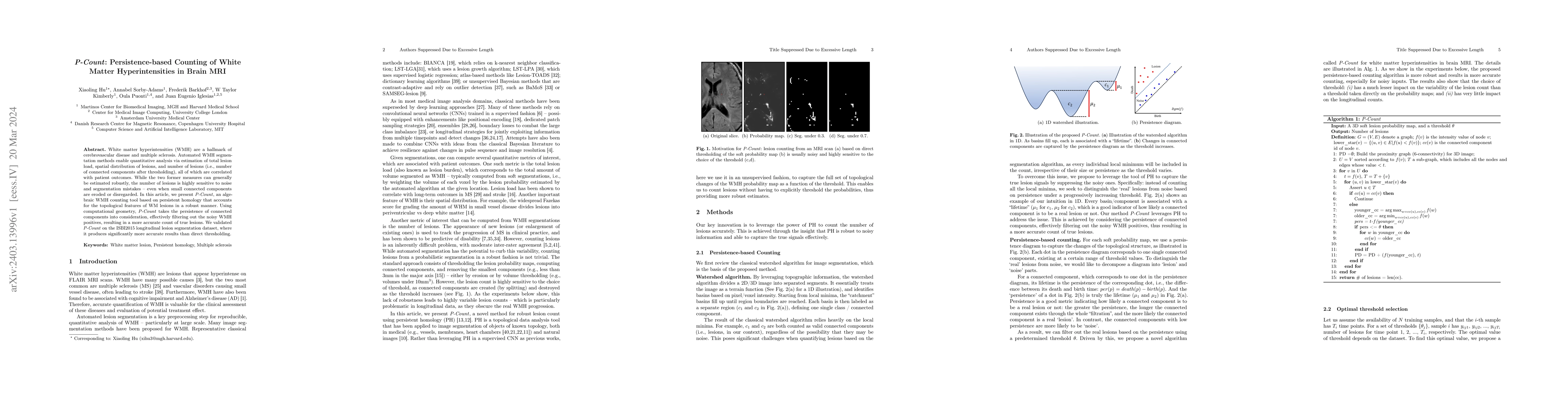 Thumbnail for P-Count: Persistence-based Counting of White Matter Hyperintensities in
  Brain MRI