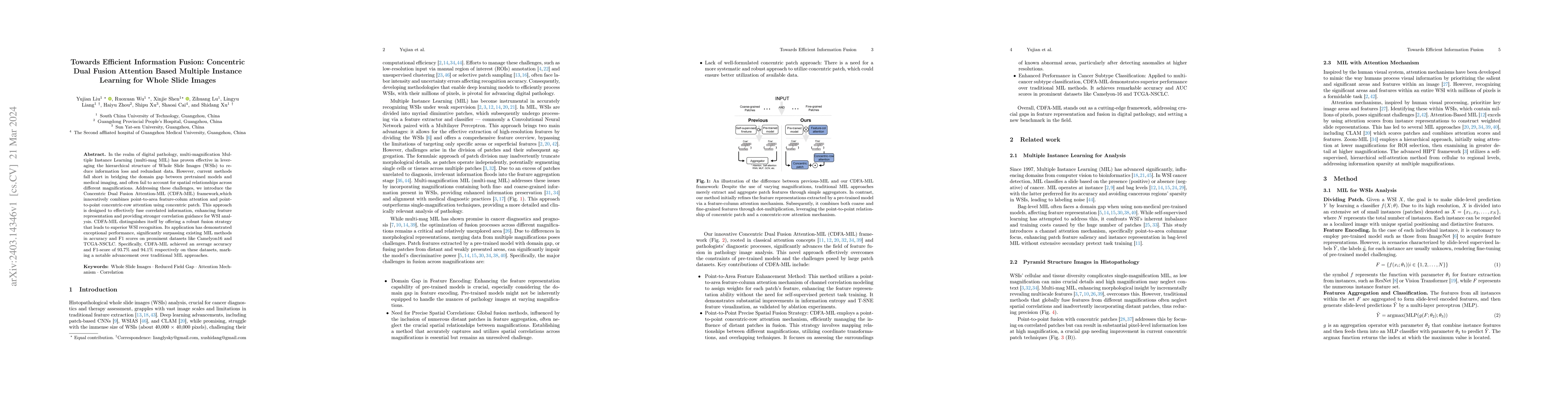 Thumbnail for Towards Efficient Information Fusion: Concentric Dual Fusion Attention
  Based Multiple Instance Learning for Whole Slide Images