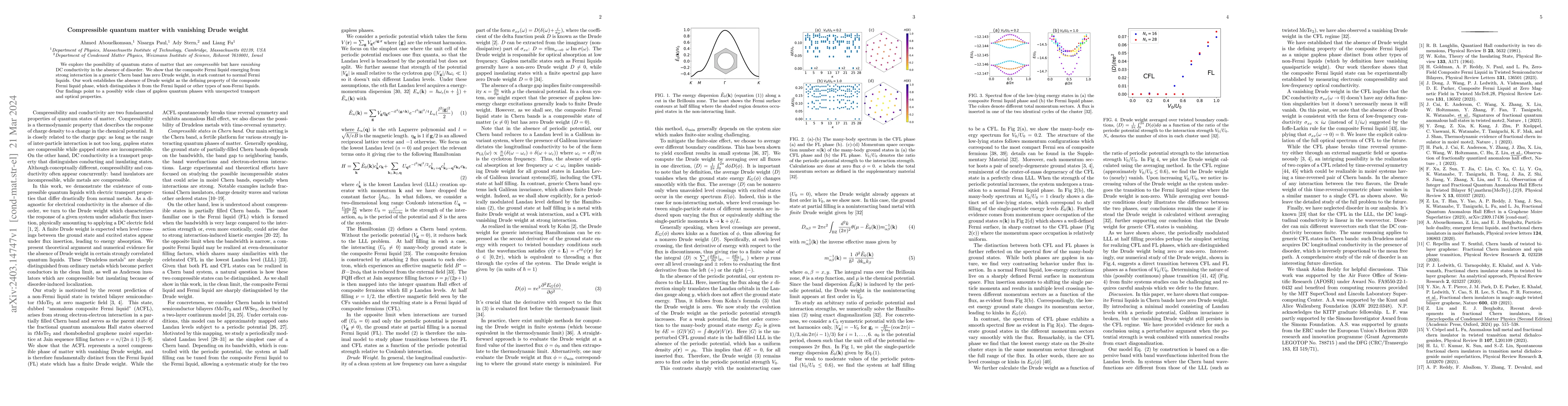Thumbnail for Compressible quantum matter with vanishing Drude weight