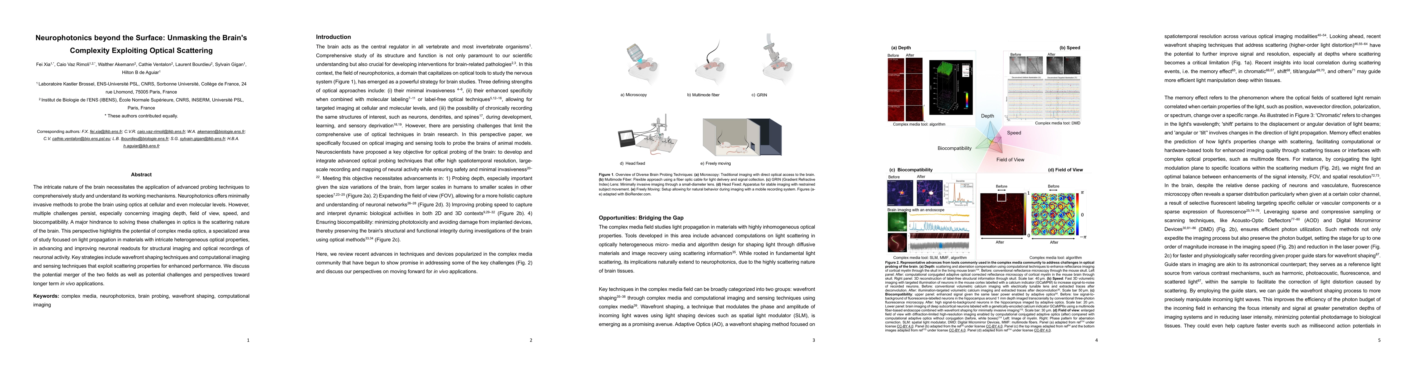 Thumbnail for Neurophotonics beyond the Surface: Unmasking the Brain's Complexity
  Exploiting Optical Scattering