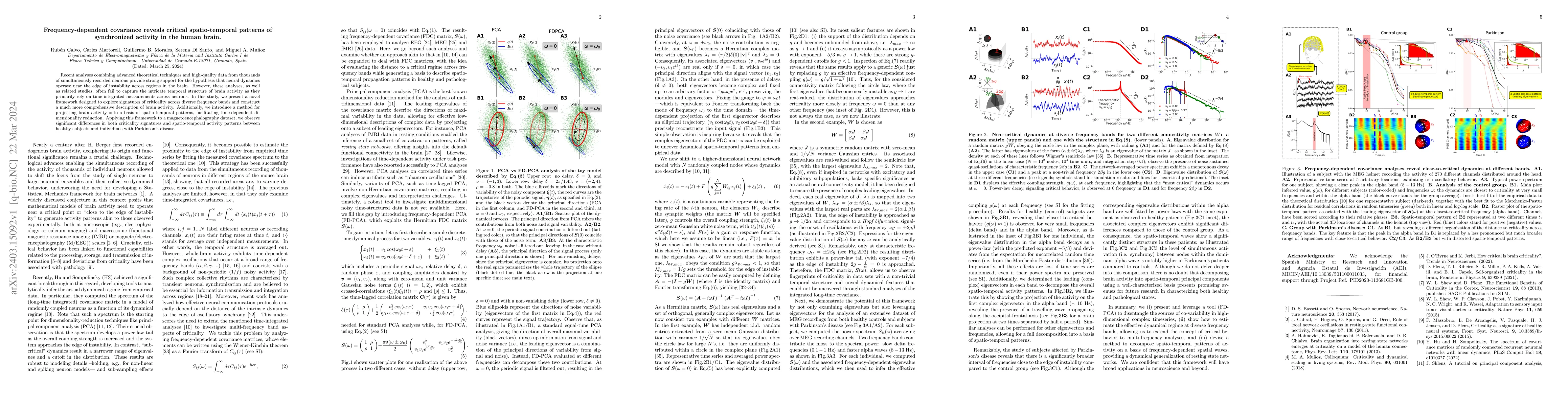 Thumbnail for Frequency-dependent covariance reveals critical spatio-temporal patterns
  of synchronized activity in the human brain