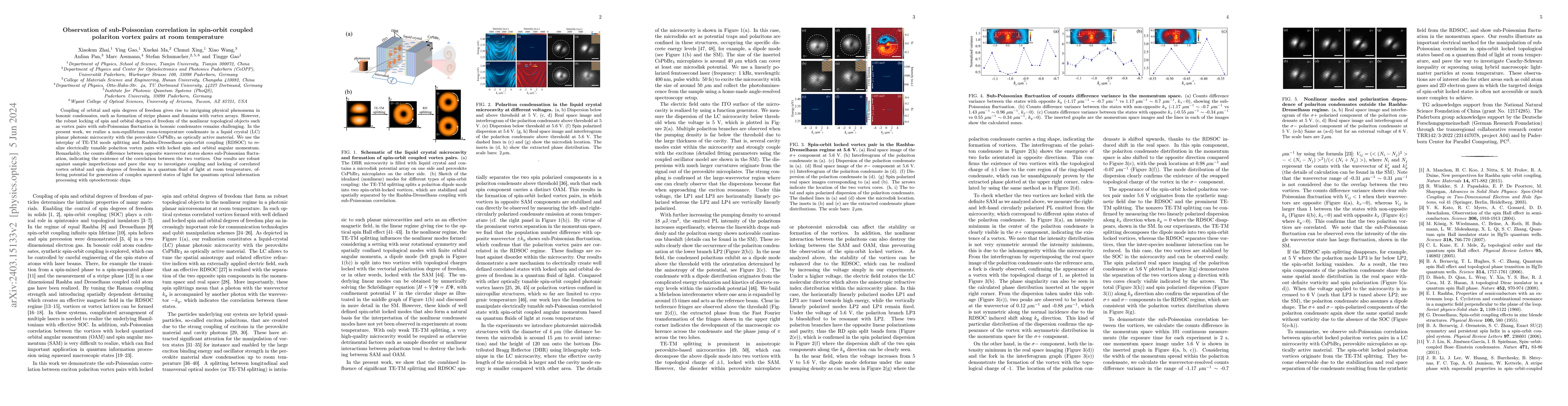 Thumbnail for Observation of sub-Poissonian correlation in spin-orbit coupled
  polariton vortex pairs at room temperature