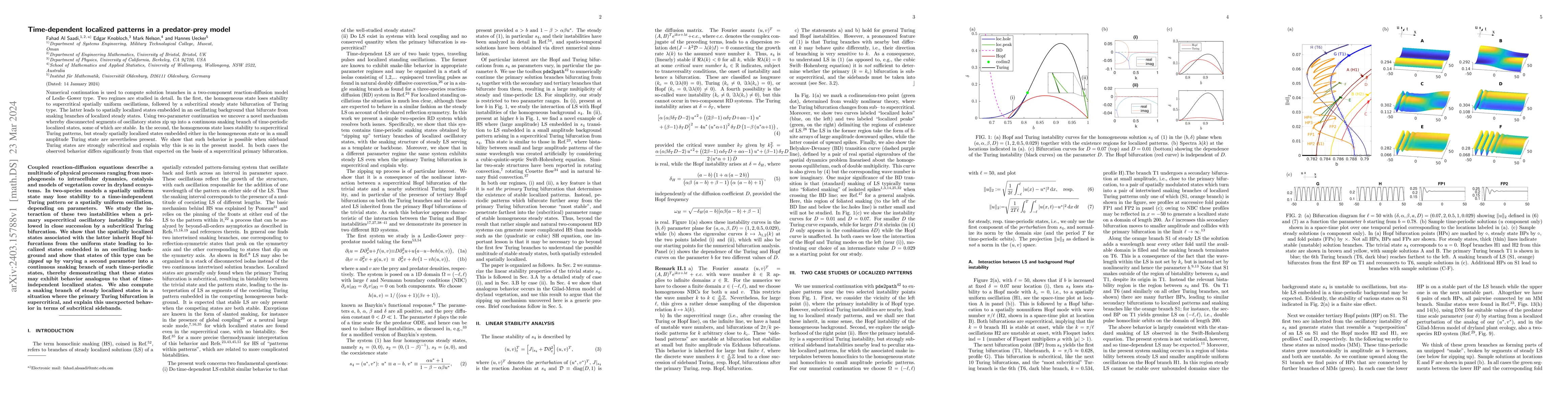 Thumbnail for Time-dependent localized patterns in a predator-prey model