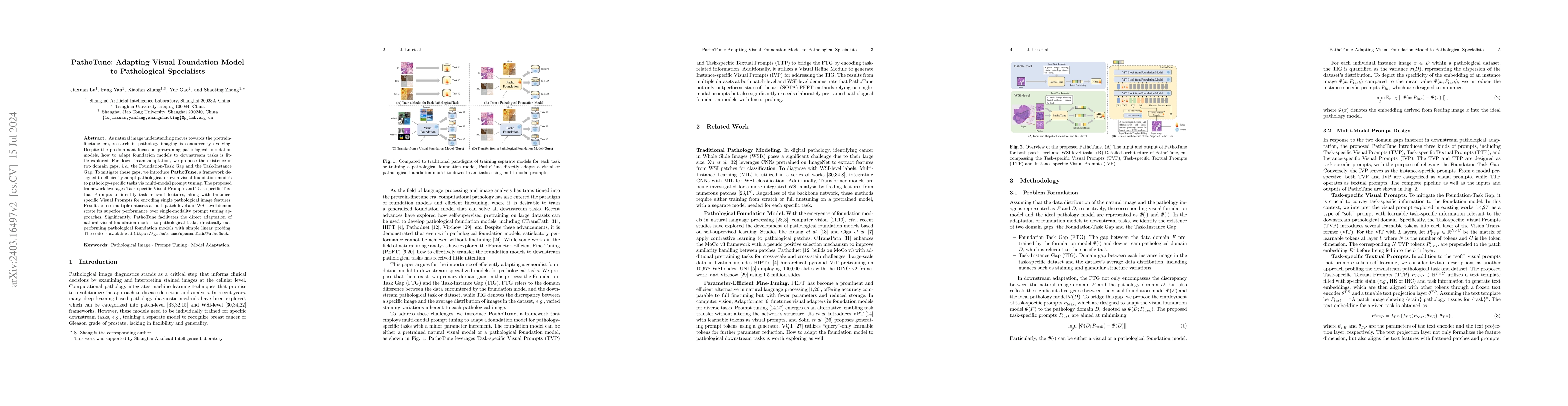 Thumbnail for PathoTune: Adapting Visual Foundation Model to Pathological Specialists