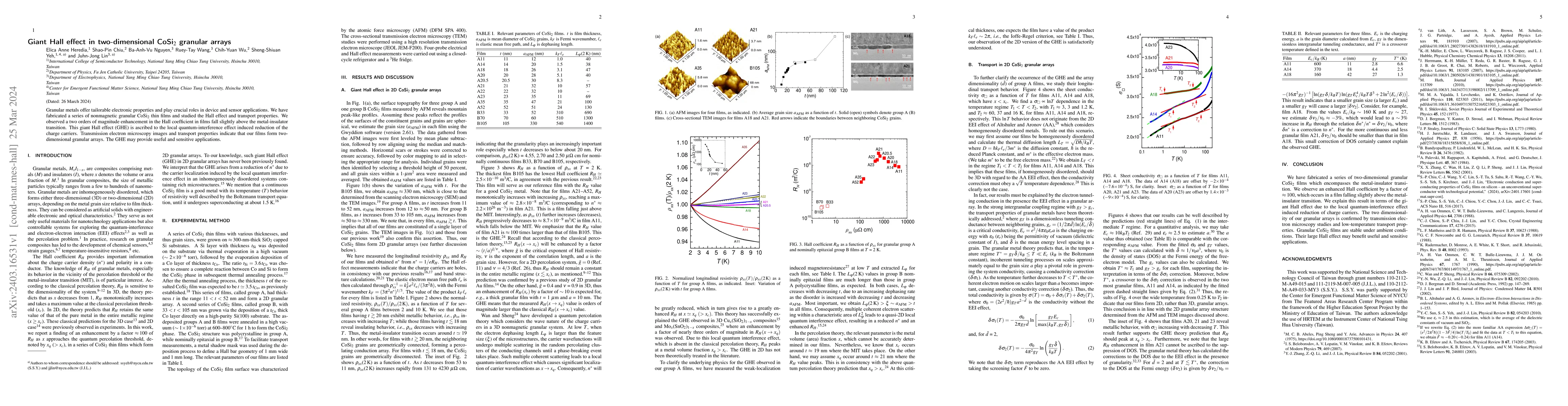 Thumbnail for Giant Hall effect in two-dimensional CoSi$_2$ granular arrays