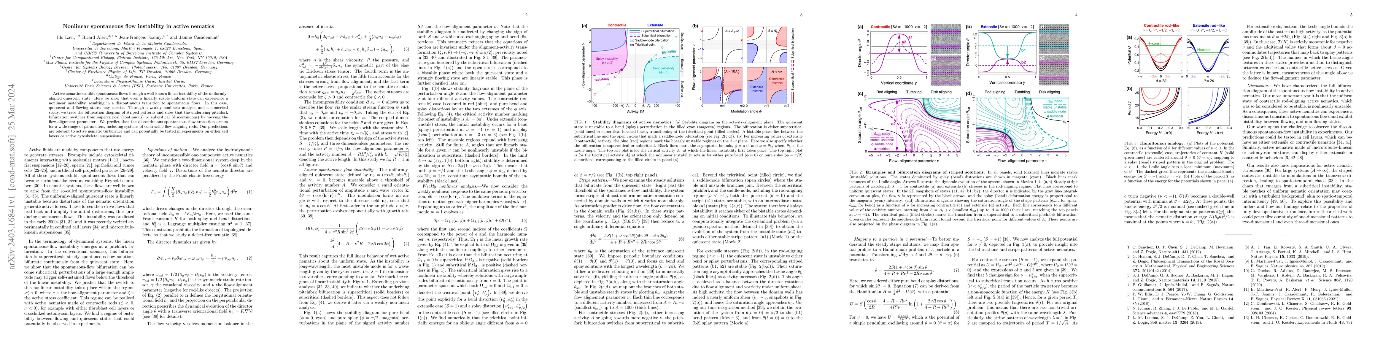 Thumbnail for Nonlinear spontaneous flow instability in active nematics