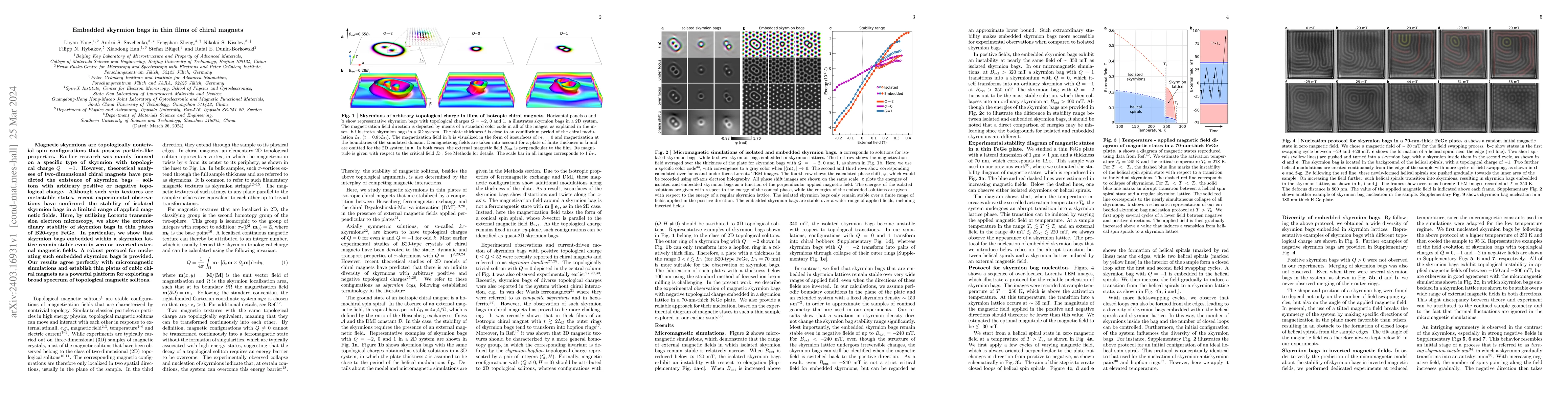 Thumbnail for Embedded skyrmion bags in thin films of chiral magnets