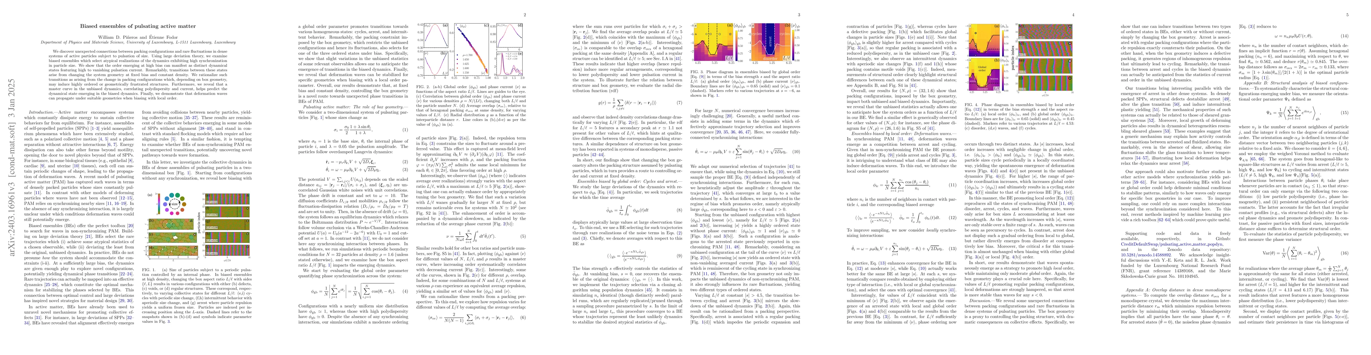 Thumbnail for Biased ensembles of pulsating active matter
