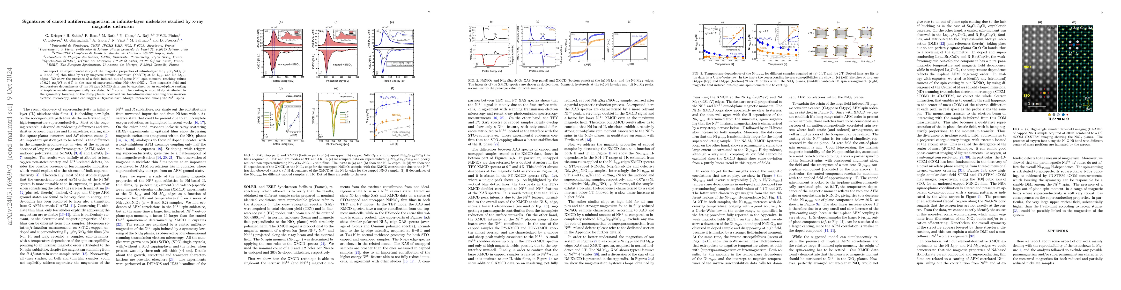 Thumbnail for Signatures of canted antiferromagnetism in infinite-layer nickelates
  studied by x-ray magnetic dichroism