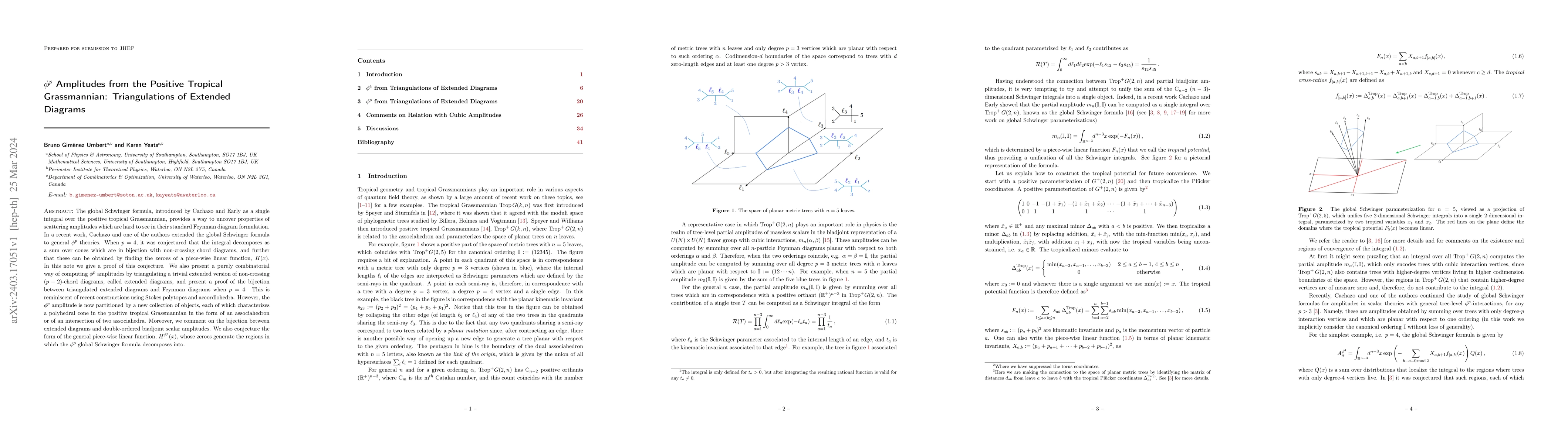 Thumbnail for $\Phi^p$ Amplitudes from the Positive Tropical Grassmannian:
  Triangulations of Extended Diagrams