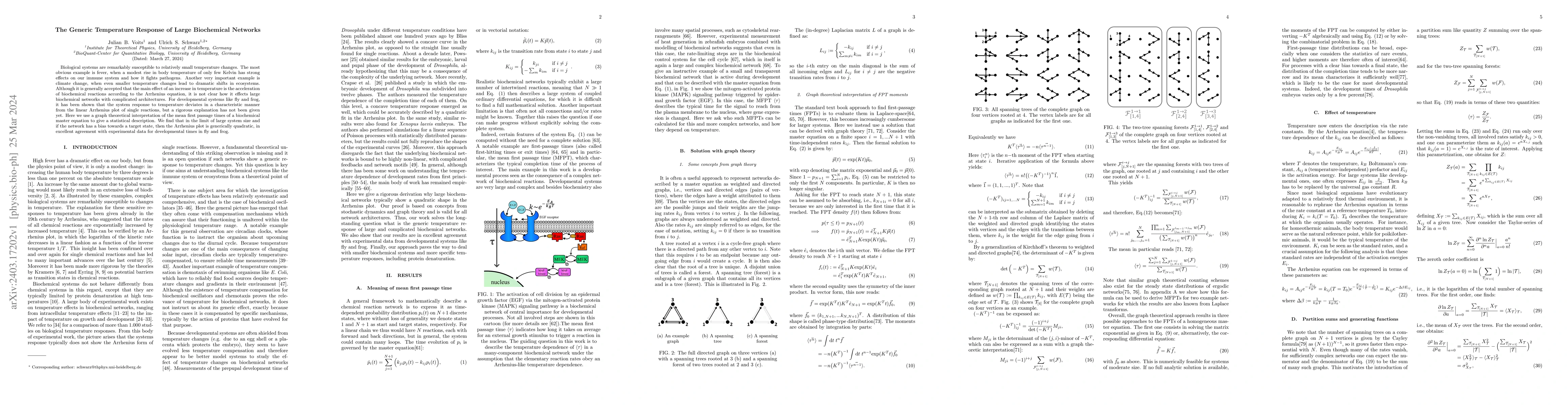Thumbnail for The generic temperature response of large biochemical networks